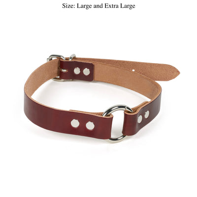 waterproof leather dog collar